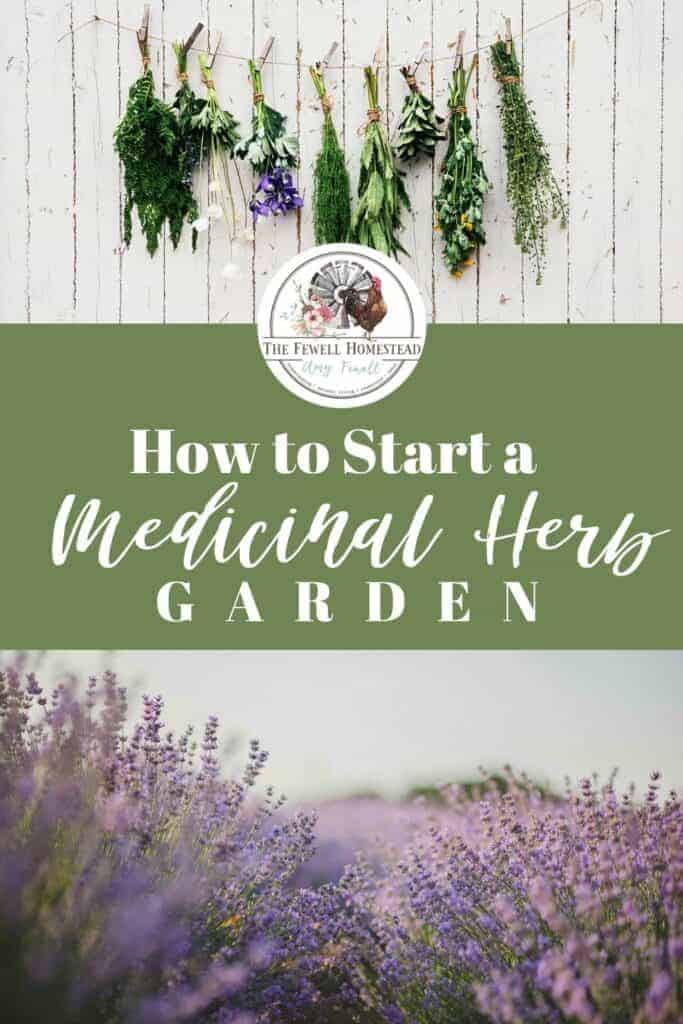Start a Medicinal Herb Garden