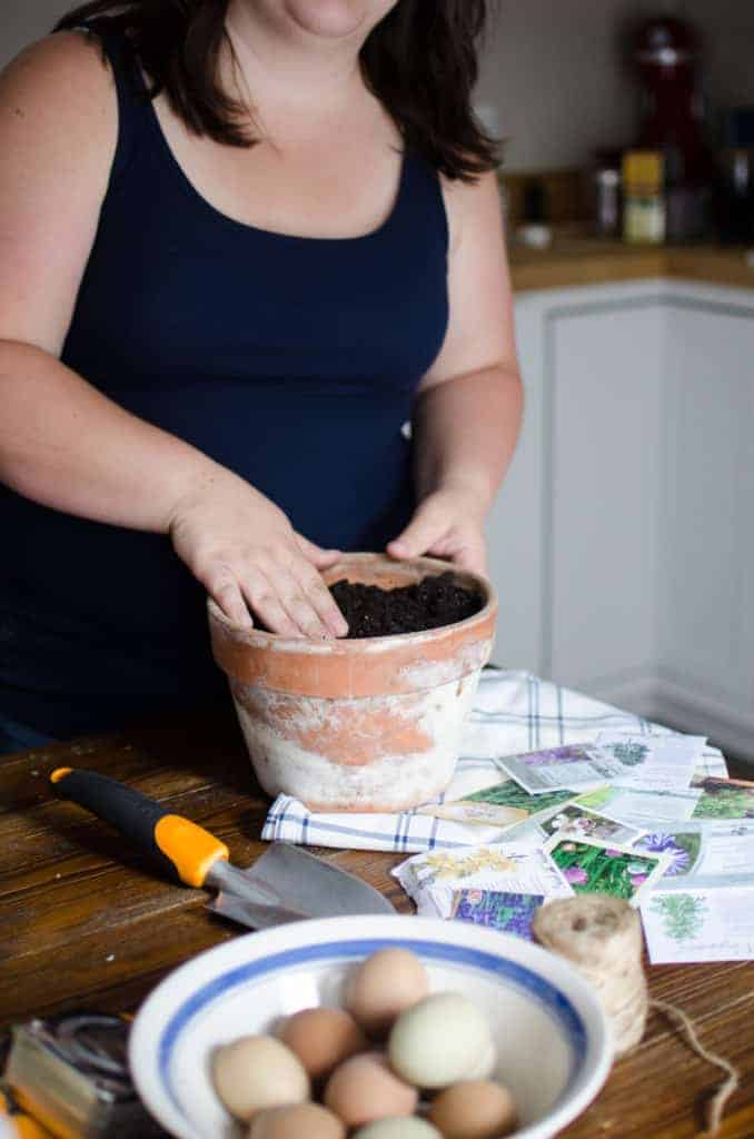 10 Ways to Make Money on Your Homestead