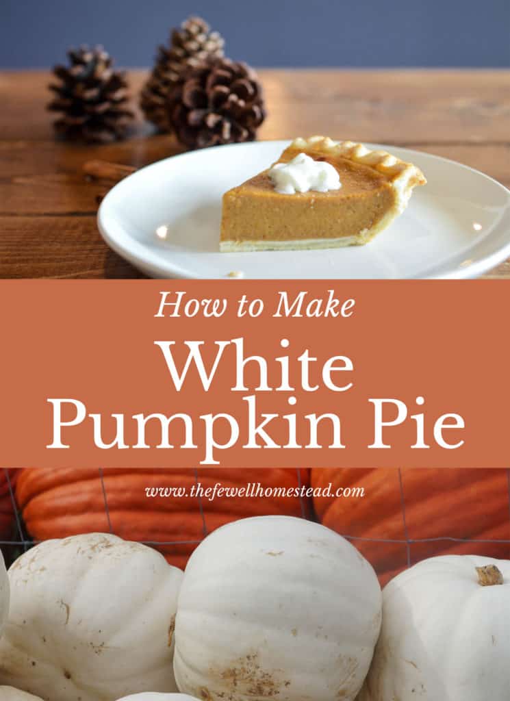 How to Make White Pumpkin Pie
