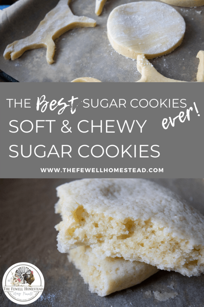 The BEST Sugar Cookies Ever! Soft and chewy sugar cookies