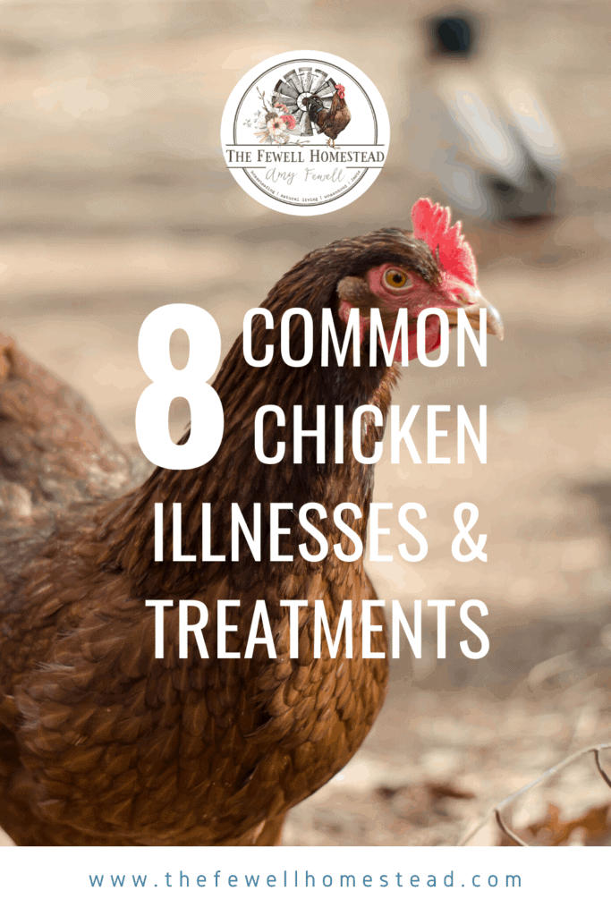 8 Common Chicken Illnesses and Treatments