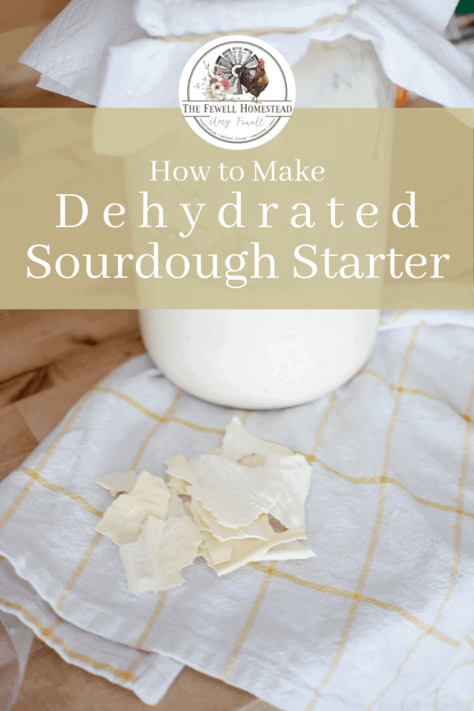 Dehydrate Your Sourdough Starter!