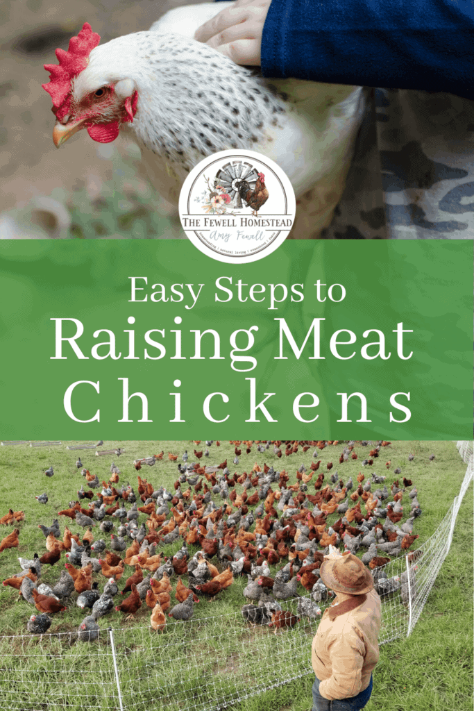 Easy Steps to Raising Chickens for Meat