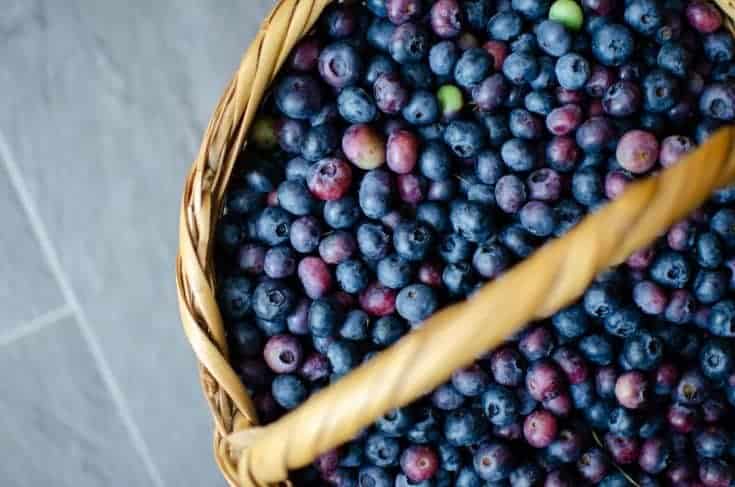Canned Blueberries in Syrup