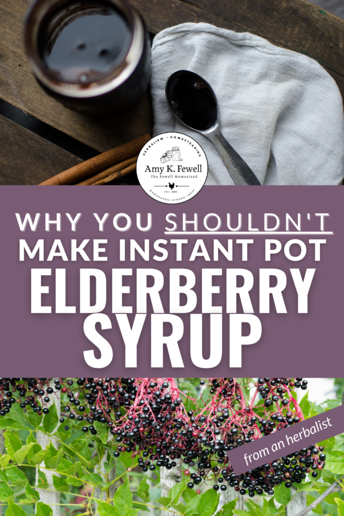 Why You Shouldn't Make Elderberry Syrup in an Instant Pot