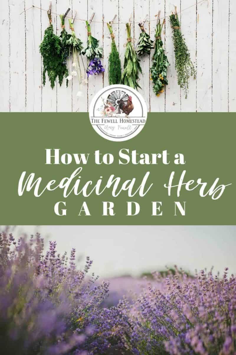 How to Start a Medicinal Herb Garden - Amy K. Fewell