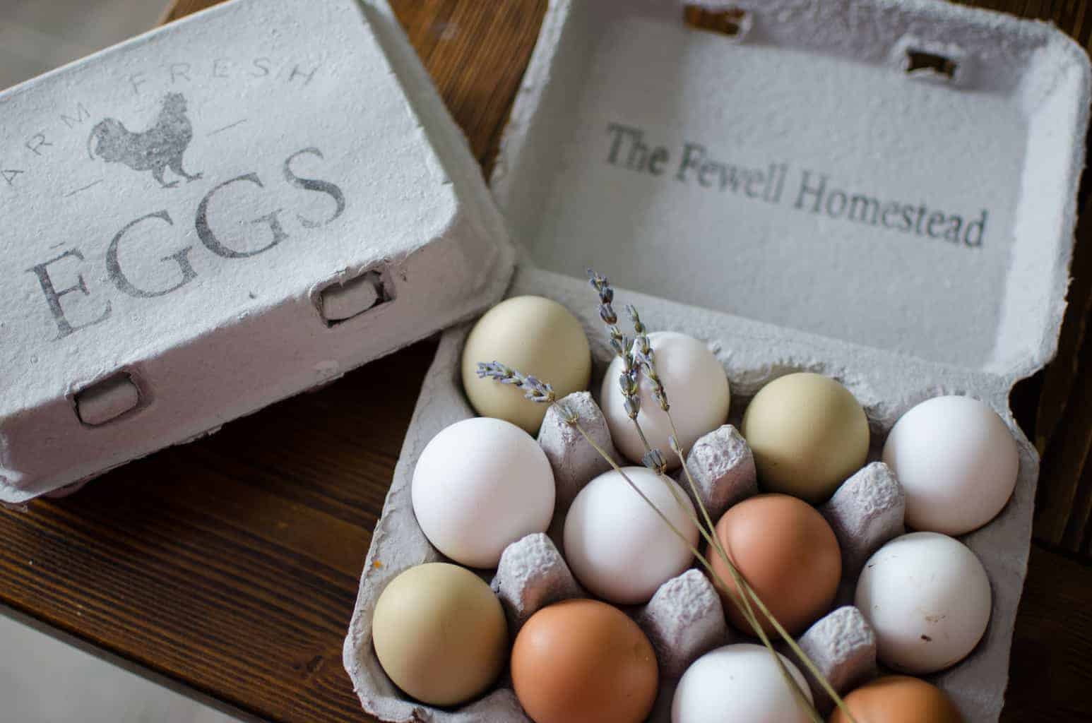 Stamped Egg Cartons - Silver Homestead