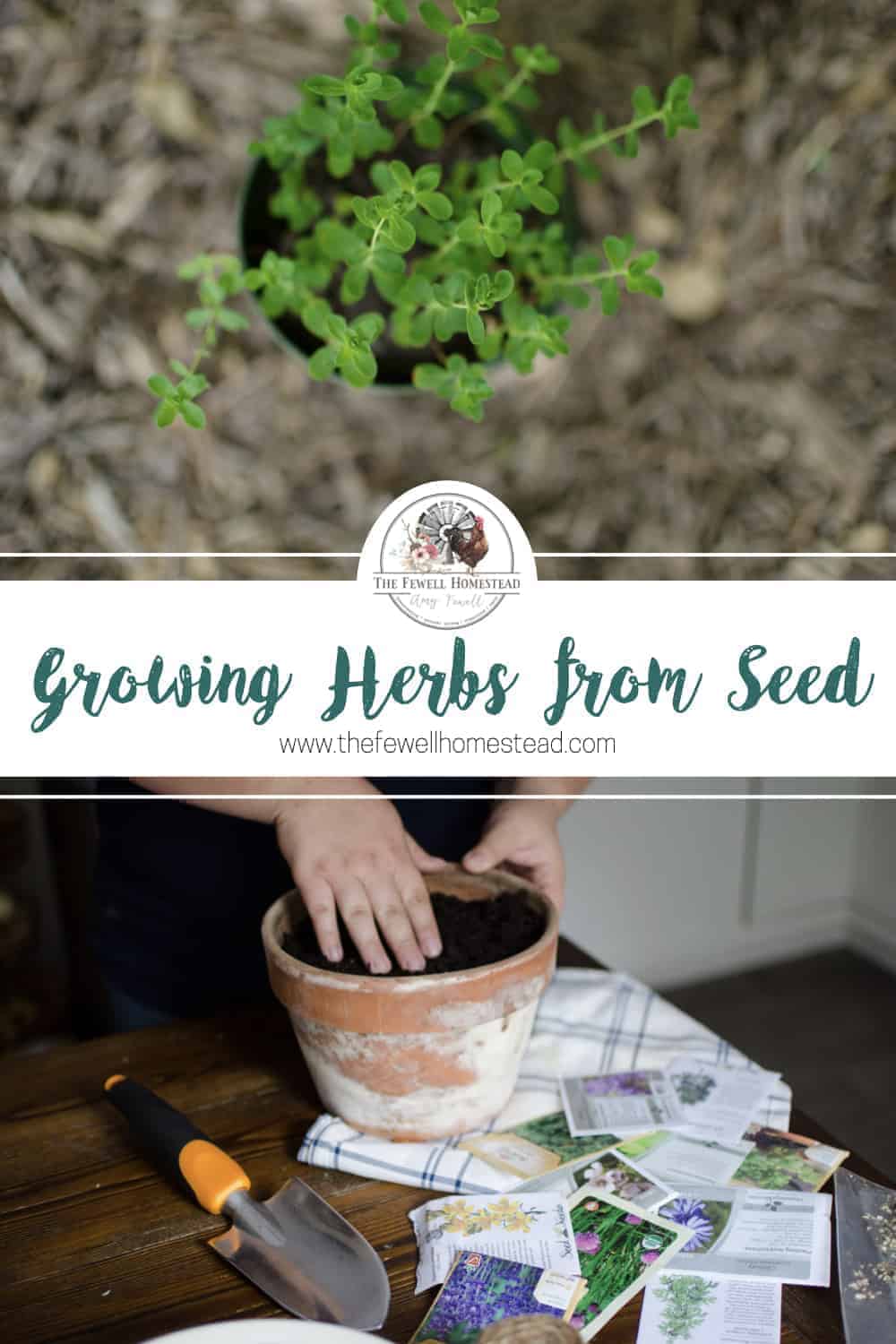 How to Start Herb Seeds For Your Garden - The Fewell Homestead