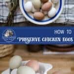 How to Preserve Eggs