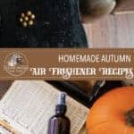 Autumn Air Freshener Recipes
