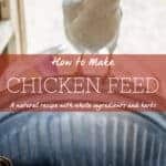 Homemade Chicken Feed