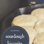 Sourdough Biscuits
