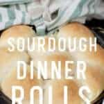 Sourdough Dinner Rolls