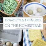 10 Ways to Earn Money Homesteading