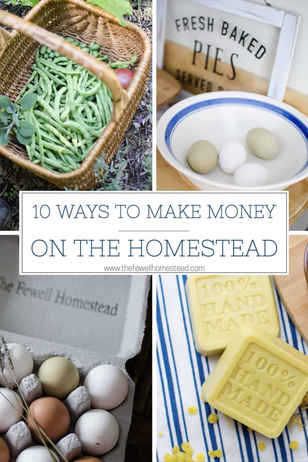 10 Ways to Make Money on Your Homestead | Amy Fewell