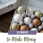 10 Ways to Earn Money Homesteading