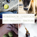 Anti-Parasitic Tincture for Livestock