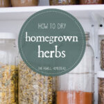 How to Dry Homegrown Herbs