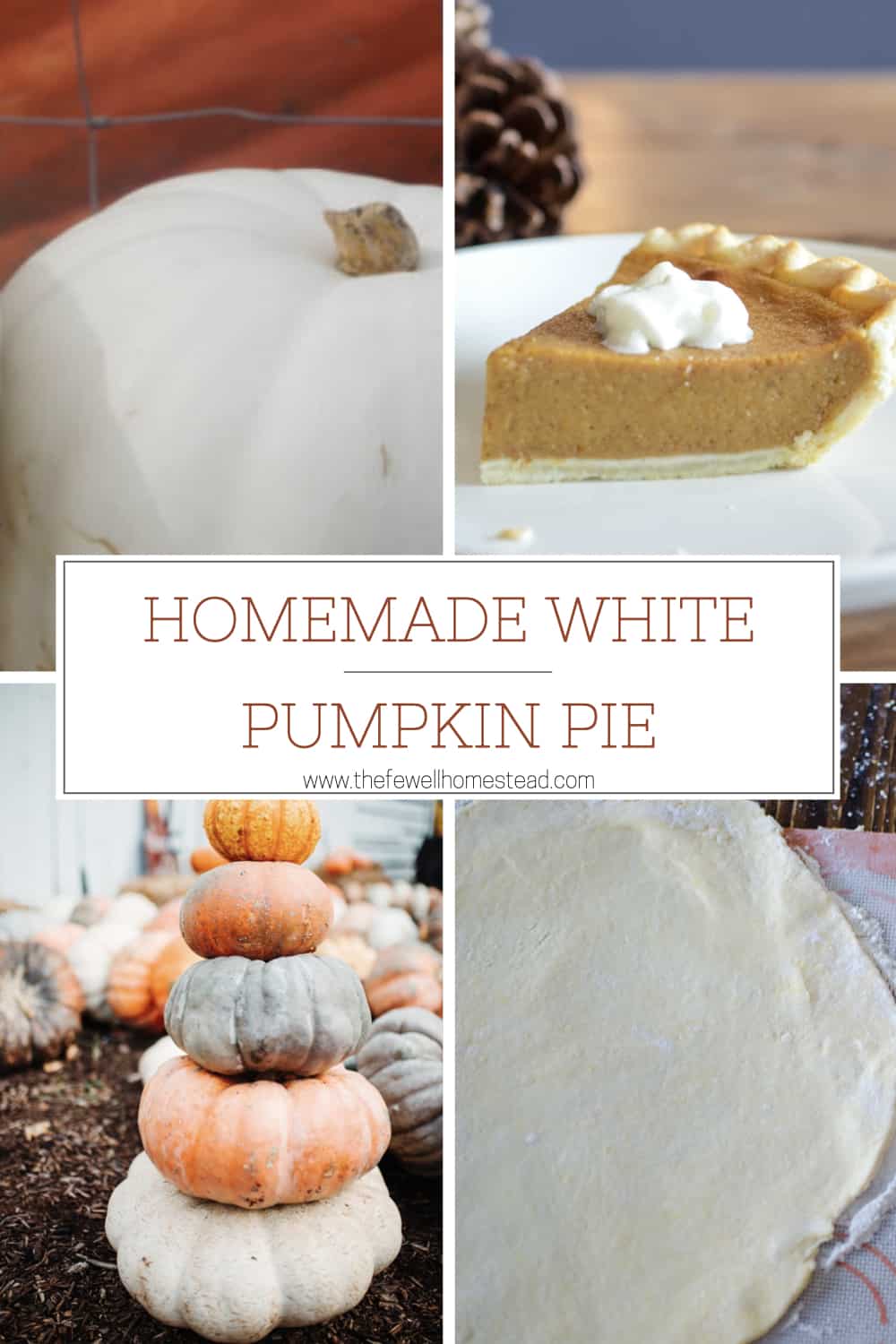 Cool Review About White Pumpkins For Pie