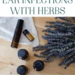 Essential Oils and Herbs for Ear Infections