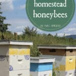 Using Herbs for Homestead Honeybees