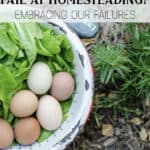 What Happens When I Fail at Homesteading?