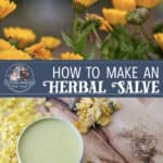 How to Make an Herbal Salve
