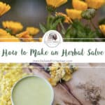 How to Make an Herbal Salve