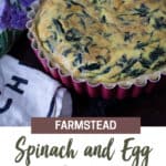 Spinach & Cheese Quiche Recipe