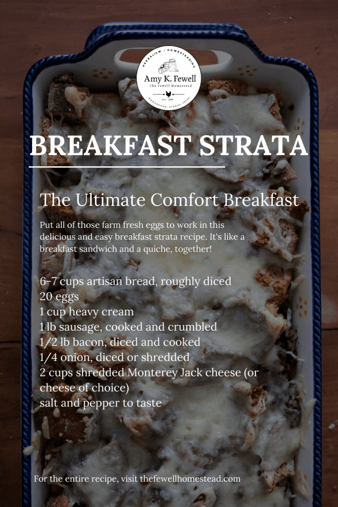 Easy Homemade Breakfast Strata Recipe